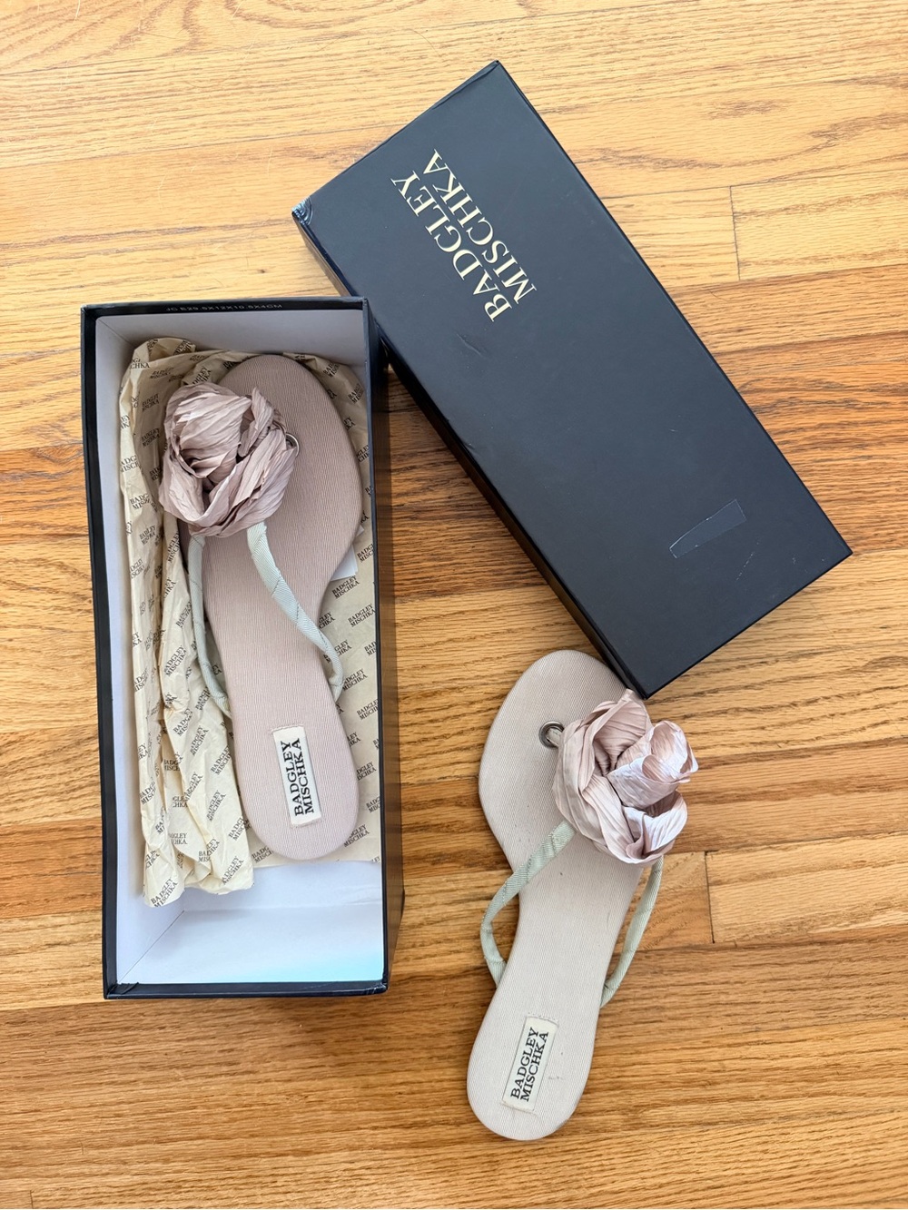 Badgley Mischka Blush Pink Floral Embellished Sandals
